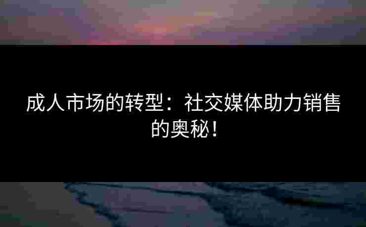 成人市场的转型：社交媒体助力销售的奥秘！